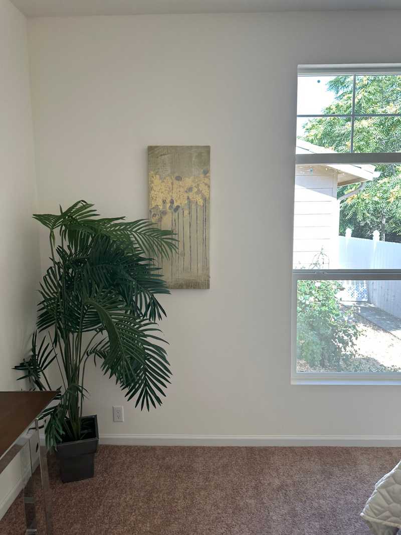 Space 97 plant and wall art